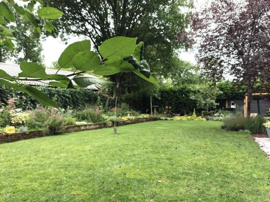 Kremmerlaan Image 11