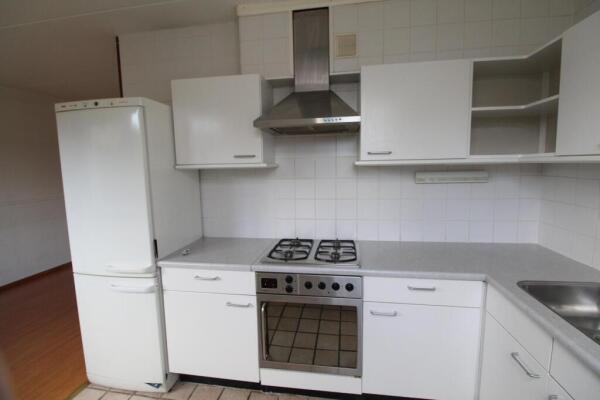 Braamspinner Image 11