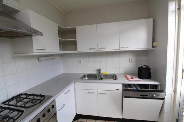 Braamspinner Image 12