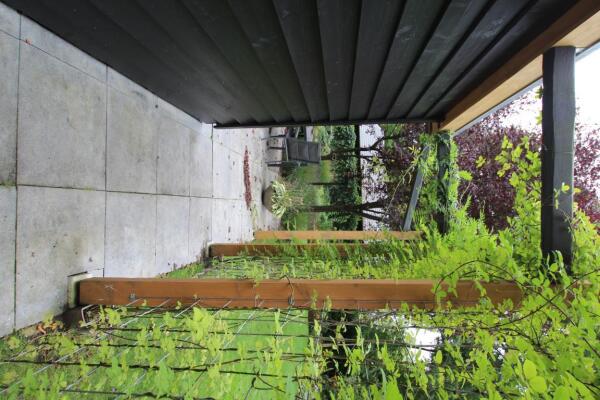 Kremmerlaan Image 13