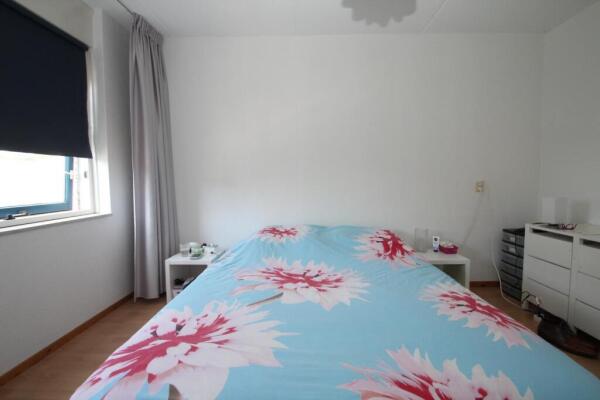 Braamspinner Image 16