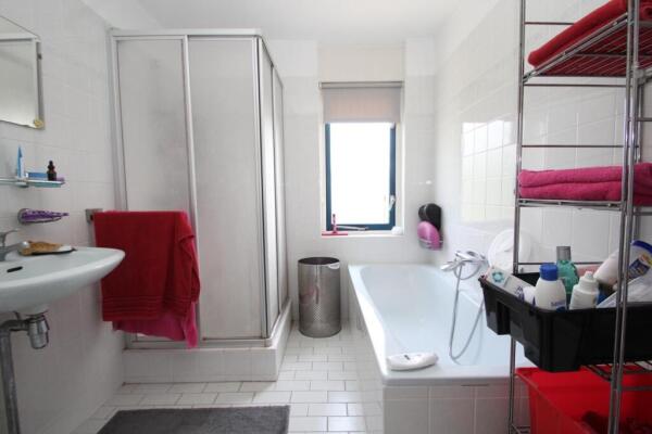 Braamspinner Image 17