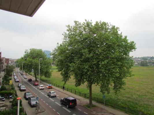 Sonsbeekweg Image 3