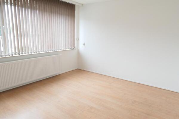 De Glazenmaker Image 16