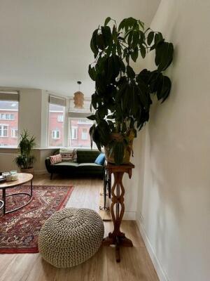 Amethiststraat Image 10