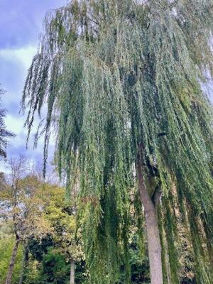 Amethiststraat Image 58