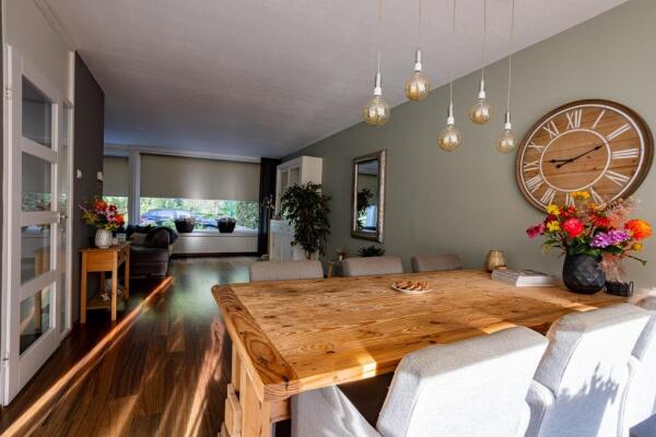 Gerard Doustraat Image 3