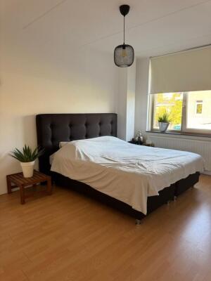 Marie Baronstraat Image 13