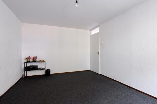 Gerard Doustraat Image 14