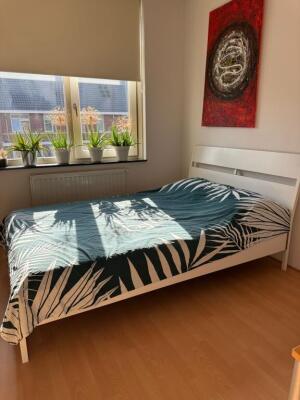 Marie Baronstraat Image 16