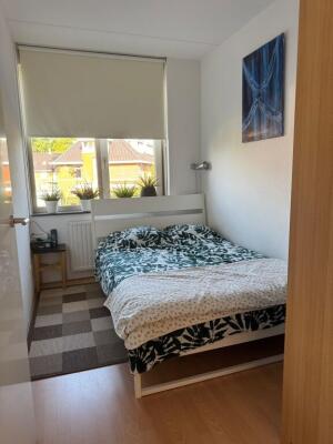 Marie Baronstraat Image 17