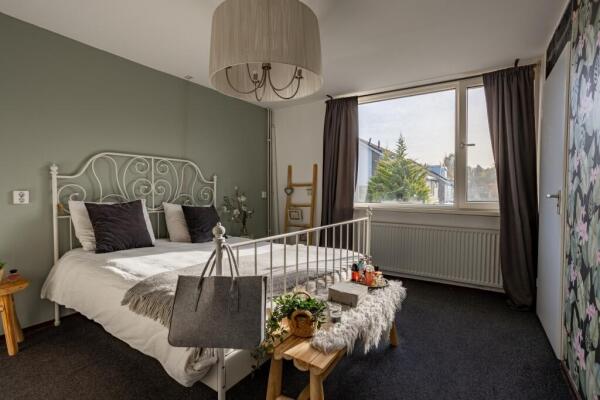 Gerard Doustraat Image 19