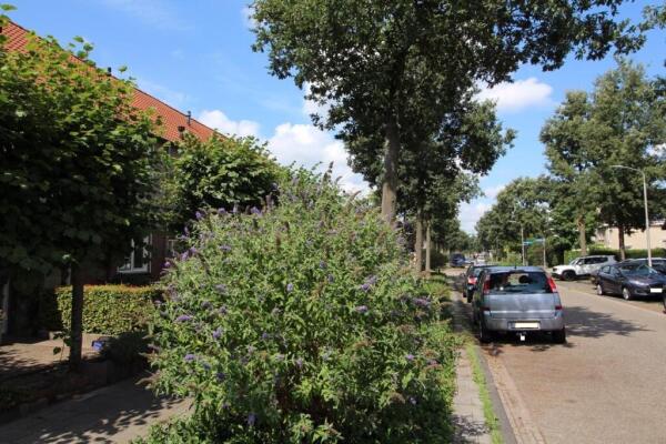 Marga Klompélaan Image 24