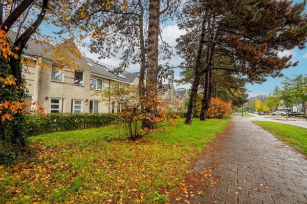 Van Heeswijkstraat Image 40