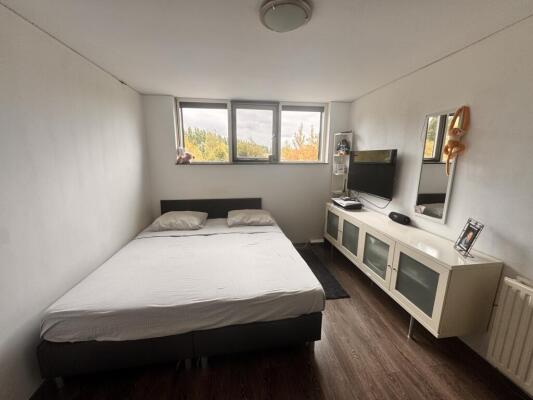 Tweede Oosterparklaan Image 17