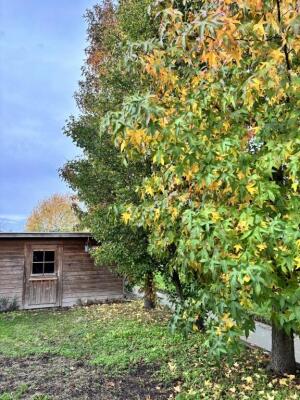 Eksterstraat Image 39