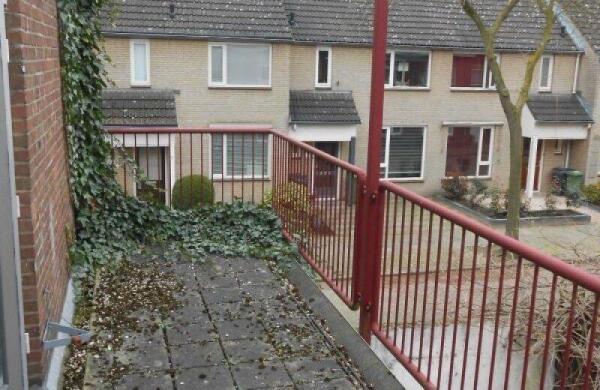 Willem Frisostraat  Image 14