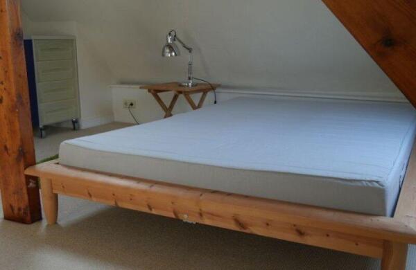 Willem Frisostraat  Image 18