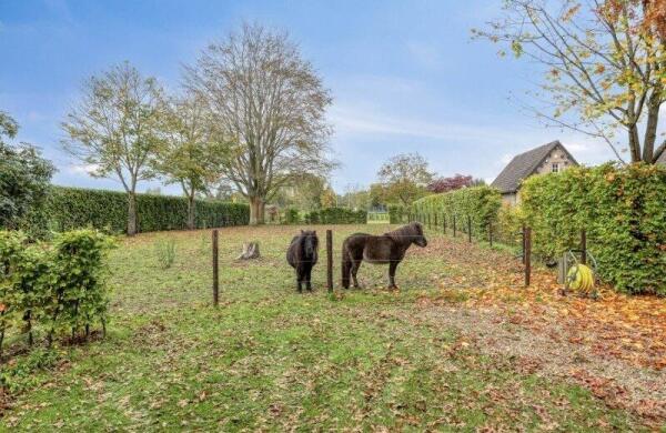 Oudvensestraat  Image 31