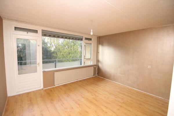 Tobias Asserlaan Image 2