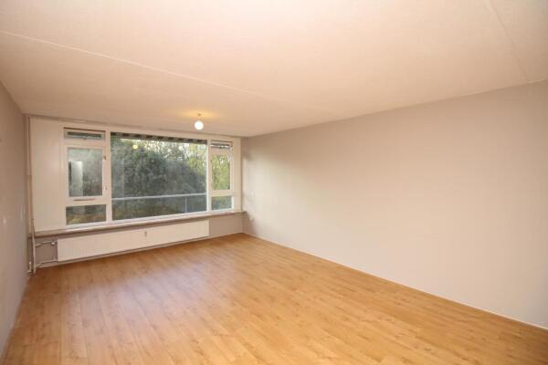 Tobias Asserlaan Image 3