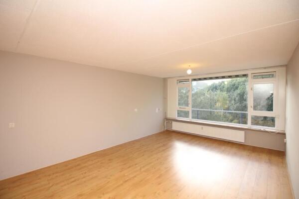 Tobias Asserlaan Image 4