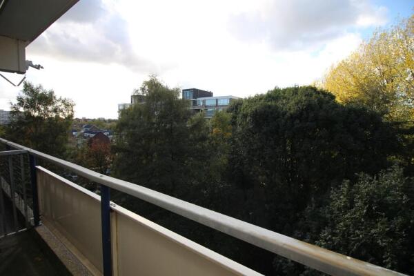 Tobias Asserlaan Image 11