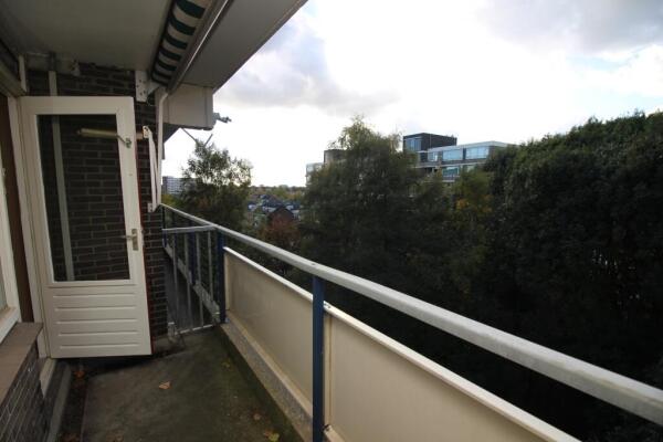 Tobias Asserlaan Image 12