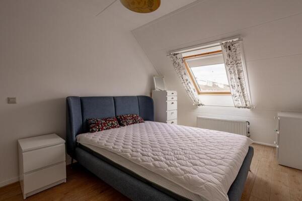 Doornsingel Image 15