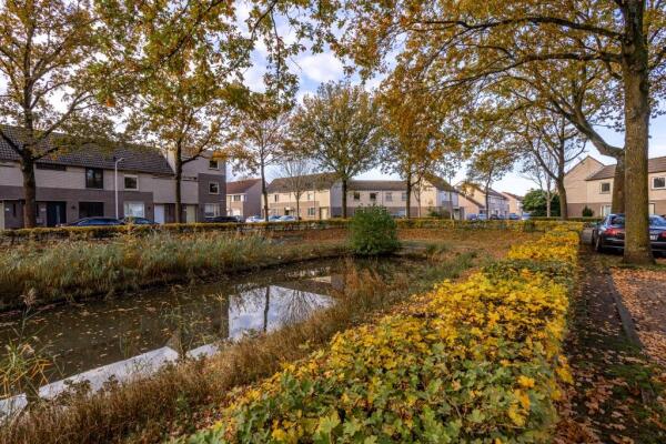 Doornsingel Image 33