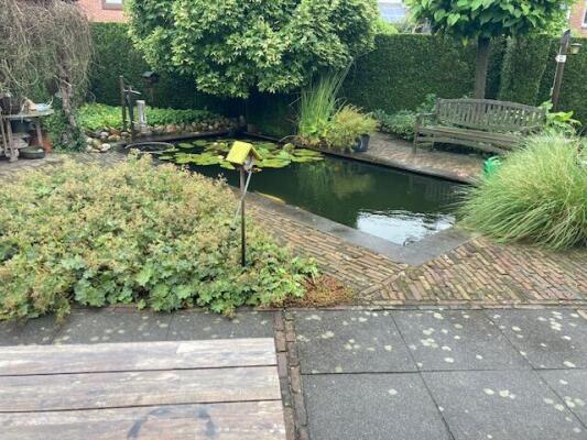 Giselbert Backstraat Image 23