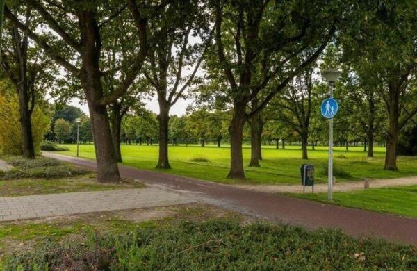 Johannes Buijslaan  Image 12