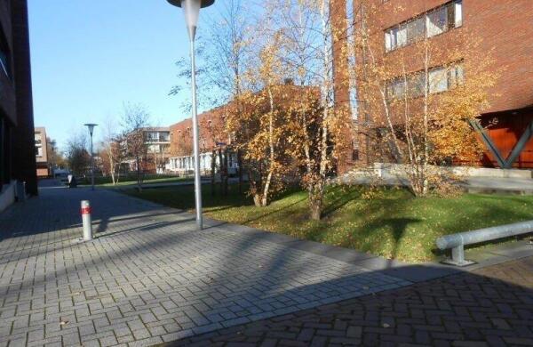 Johannes Buijslaan  Image 13