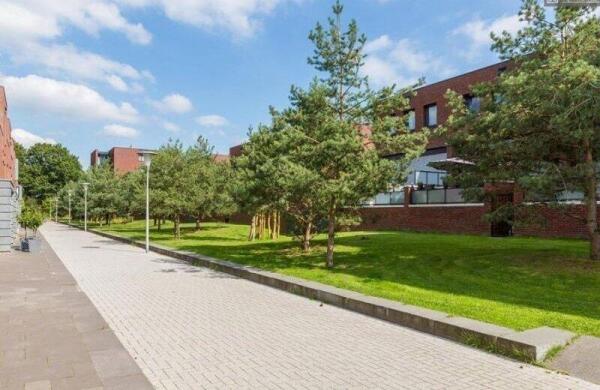 Johannes Buijslaan  Image 15