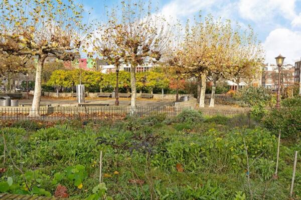 Jacob van Lennepstraat 241B Image 37