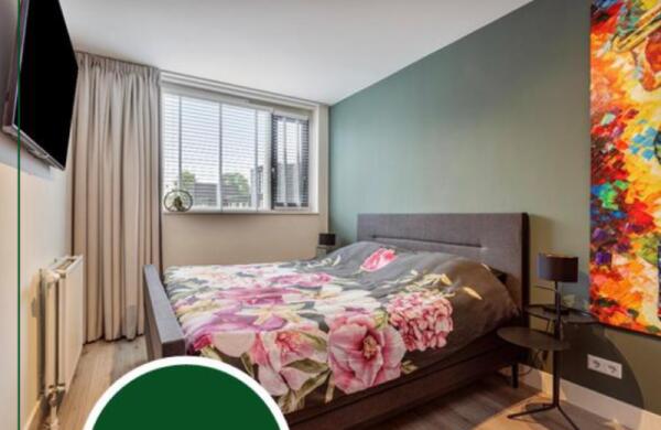 Raffendonkstraat  Image 6