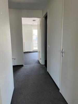 Ellenaar 5C Image 10