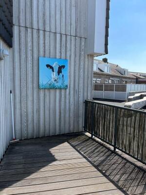 Ellenaar 5C Image 14