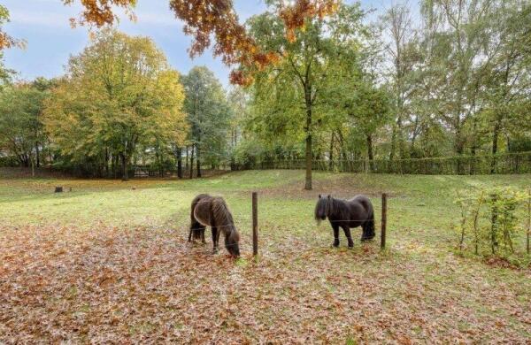 Oudvensestraat  Image 14