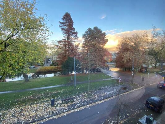 Noordsingel Image 11