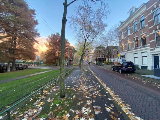 Noordsingel Image 13
