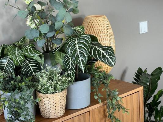 Anna van Buerenplein Image 27