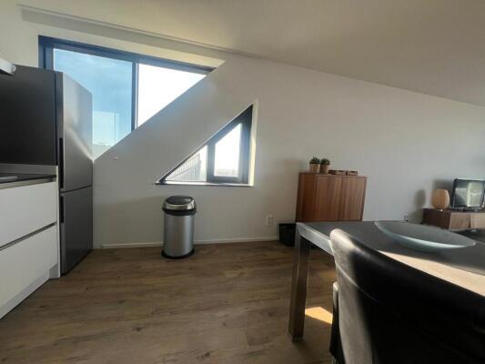 Anna van Buerenplein Image 29