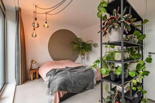 Bottelarijstraat Image 19