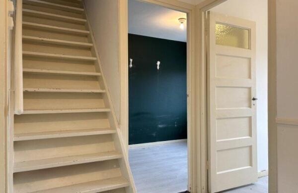 Fuchsiastraat  Image 15