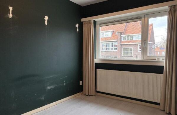 Fuchsiastraat  Image 20