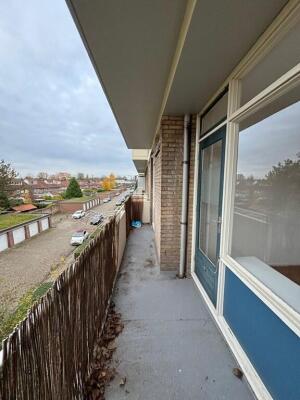 Thorbeckestraat Image 5