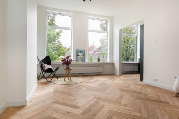 Koningin Emmakade Image 1