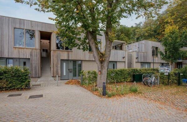 Groene Akker  Image 0