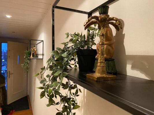 De Sillestraat Image 9